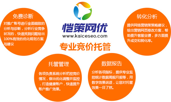 愷策網優是一家專業做競價托管的服務商