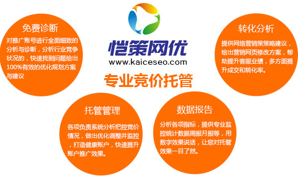 愷策網優競價托管管家服務商